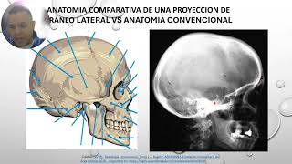 Anatomia comparativa Cara y Craneo [upl. by Ariem]