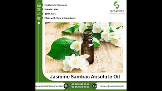 Jasmine Sambac Absolute Oil [upl. by Enirod]