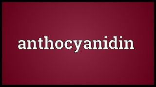 Anthocyanidin Meaning [upl. by Attaynek]