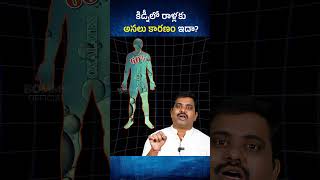 ఆకు కూరలతో కిడ్నీలో రాళ్ళు షాకింగ్ నిజాలు😥🙆🏿 Green Smoothies  Oxalates shorts health telugu [upl. by Derian]