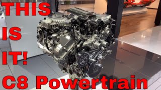 C8 Corvette Powertrain Exposed  CarGuy11 Special [upl. by Takken970]