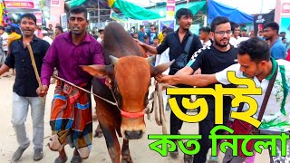 মাথাই নষ্ট গাবতলী হাটে আজ এত সস্তায় কিভাবে কোরবানির গরু বিক্রি হলো দেখুন সবাই [upl. by Hanschen]