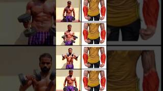 🔥 Forearms HOME Workout 🔥 shorts shortsfeed maithilifitness baapukafitness [upl. by Arakihc]