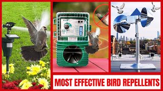 Best Bird Deterrent Devices  Quick amp Humane Ways to Keep Birds Away [upl. by Amaras]