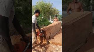 Husqvarna Chainsaw Cutting Big Wood chainsaw husqvarna shorts 1511 [upl. by Anwahsad112]