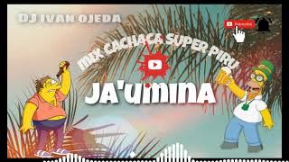 CACHACA SUPER PIRU MIX JAUMINA MAIKY ENGANCHADO 2020 [upl. by Medarda895]