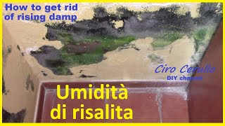 Umidità di risalita soluzione definitiva [upl. by Octavla]