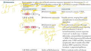 15 Thalassemias  Alpha Thalassemia and Beta Thalassemia  USMLE STEP 1 [upl. by Ytram942]