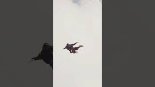 FLY Hammerhead skydive adrenalinesports skydivevideo adrenaline [upl. by Otrebtuc]