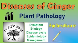 L 15  Diseases of Ginger  Soft rot  Pythium Management  BSc Agriculture Exam  IGKV  CET ICAR [upl. by Beaudoin]