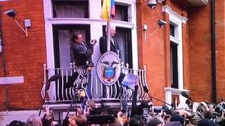 Assange wird Ecuadorianer [upl. by Elmajian]