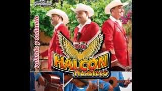 Mix Halcon Huasteco disco completo [upl. by Hiltan]