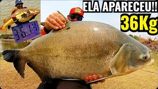 NOVO RECORDE DE PEIXE SAIU A DE 36KG LAGO PRINCIPAL [upl. by Hance7]