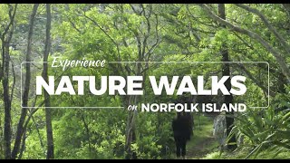 Norfolk Island Nature Walks [upl. by Adnarb]