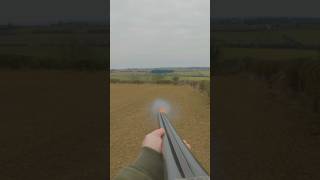 How To Shoot A Bolting Rabbit  12 Gauge Side by Side [upl. by Hewe]