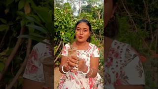 কাটামুকুট গাছের cuttings থেকে চারা তৈরি।। Flower plant from cuttings ✂️flowers plantfromcuttings [upl. by Norb44]