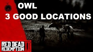 Red Dead Redemption 2 Best Owl Locations [upl. by Ballard476]