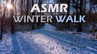 ASMR  Winter Walk  First Snow  Crunching Sounds NO TALKING [upl. by Radnaskela]