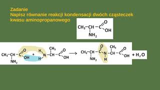 Aminokwasy  wiązanie peptydowe [upl. by Meredeth]