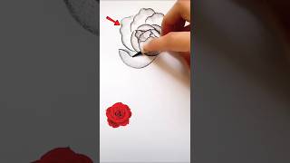 Rose drawing easy  rose a draw easy  rose day 🌹 how to a draw rose easy  drawing [upl. by Attenaej]