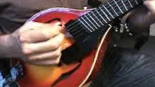 Gibson 5 string jazz mandolin with fanned frets 2 [upl. by Klos]