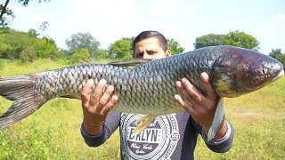 BUYING amp COOKING BIG FISH  BEST FISH RECIPE  FISH CURRY INDIAN RECIPE [upl. by Higginson245]