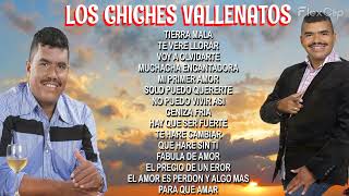 LOS CHICHES VALLENATOS   AMIN MARTINEZ   GRANDES EXITOS [upl. by Kcirddor]