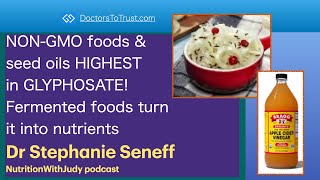 STEPHANIE SENEFF 3  NONGMO foodsseed oils HIGH in GLYPHOSATE Fermented foods turn into nutrients [upl. by Ahsinit249]