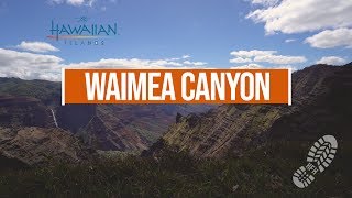 Waimea Canyon Trail  Waimea Canyon State Park Waimea HI  March 2019 [upl. by Osmond734]