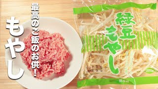 【もやしの簡単レシピ】豚ひき肉と炒めるだけ！ご飯が止まらない！ [upl. by Karlen166]