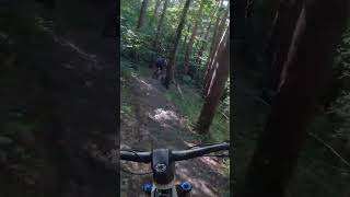 Première DESCENTE ILS sont CHAUD  VTT ENDURO epic mtb enduro bikelover [upl. by Rhyner]