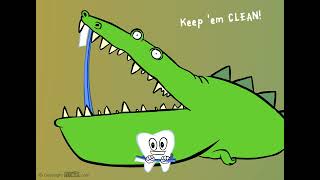 quotClean Smile Crocodilequot  FlowGo animation [upl. by Ettenuj113]