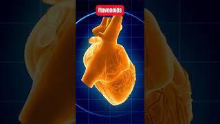 Discover the Power of Flavonoids Why You Need These Superfoods healthtips flavonoids [upl. by Aham689]