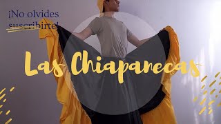 LAS CHIAPANECAS PASOS BASICOS  FOLKLORE MEXICANO [upl. by Gertrudis]