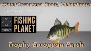 Fishing Planet Trophy European Perch GhentTerneuzen Canal Netherlands [upl. by Eiral]