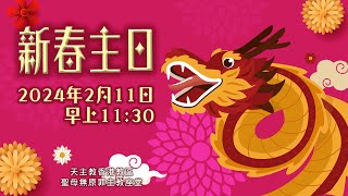 直播彌撒 【農曆新春主日】 （乙年）1122024（日）早上 1130 陳志明神父 [upl. by Nevur324]