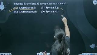 Spermatids are changed into spermatozoa through [upl. by Bandler996]