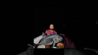 Big GT maldivian dhivehin fishing visitmaldives 🇲🇻🇲🇻 [upl. by Ttenaej]