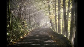 The Plague Village of Eyam told by Let’s Go Peak District [upl. by Ahsinrad420]