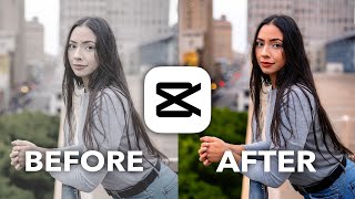 CapCut Color Grading 101 Tutorial [upl. by Mella]