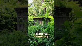 British kabristan  cemetery  kabristan  Christian kabristan bihar travel patna ancientplaces [upl. by Neih]