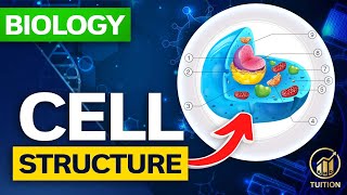 GCSE Biology Cell Structure amp Types Explained Easy Guide 2023 [upl. by Aihtekal]