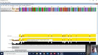 How to Perform DNA or Protein Sequence Alignment [upl. by Stein]