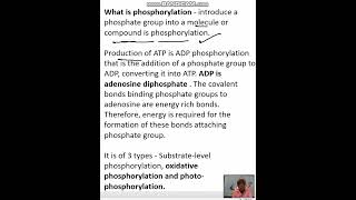 what is phosphorylation and types of phosphirylation [upl. by Cioban]