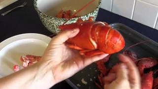 How to Get the Meat out of a Boiled Lobster [upl. by Chester]