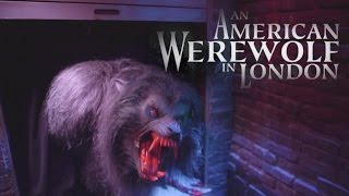 American Werewolf in London COLOR Halloween Horror Nights 2014 Universal Studios Hollywood [upl. by Harold920]