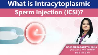 What is Intracytoplasmic Sperm Injection ICSI Dr Richika Sahay Shukla  India IVF Clinic [upl. by Sekoorb]