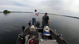 Lake trout while walleye fishing [upl. by Ecinhoj]