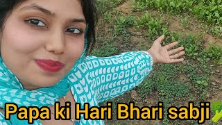 papa ki Hari bhari sabji🥦😊youtubevlogs [upl. by Itsur750]