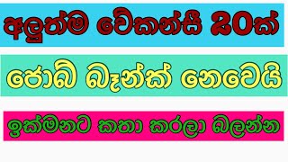 job vacancy 2023 sri lankaJob guide srilanka job interview jobs abroad jobs at home sinhala [upl. by Hughett]